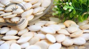 Snow White Pumpkin Seed