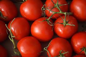 fresh tomato,  Type : Vegetable
