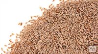 Psyllium Seed