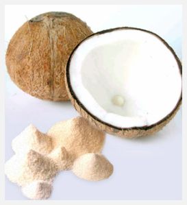 coconut milk powder