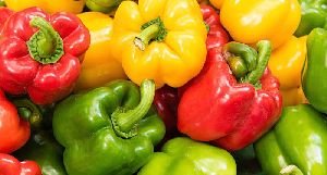 fresh capsicum