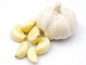 fresh garlic