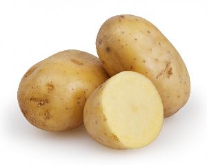 fresh potato