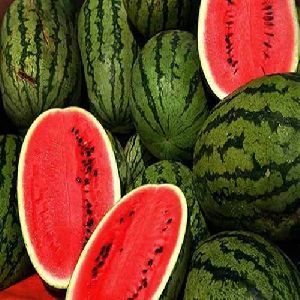 fresh watermelon