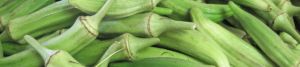 Fresh Okra
