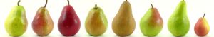Fresh Pear