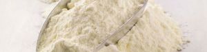 full cream milk powder