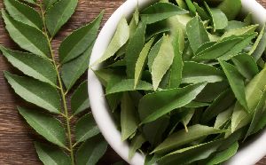 curry leaves