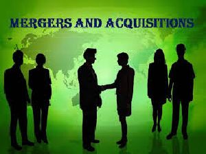 Merger & Acquisition