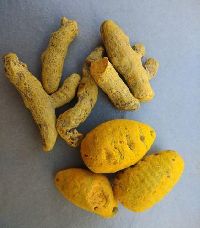 Organic Turmeric ( Polished )