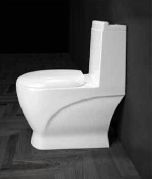 golden dragon one piece toilet seat