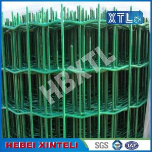 Wire Mesh