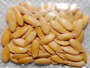 Cantaloupe Seeds