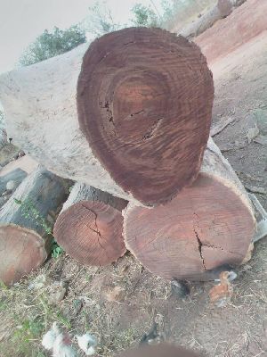 Tali Wood Logs