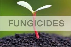 Fungicide Agro Chemical