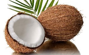 Coconut