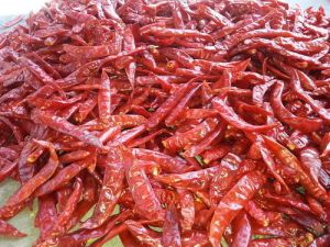 Common Red Chillies S4&334, For Cooking, Fast Food, Taste : Spicy