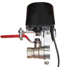 Alexa Google WiFi Wireless Water Gas Leak Sensor Valve