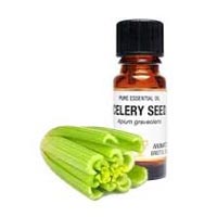 Oleoresin Celery Seed