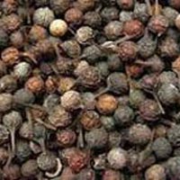 Cubeb Oleoresin