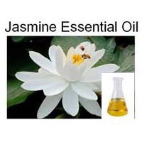 Jasmine Oil- Jasminum Grandiflorum