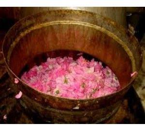 Rose Water (Grade B)