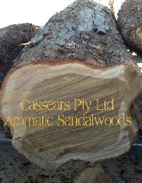 High Grade Sandalwood Logs
