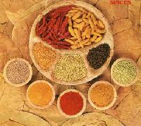 processed spices