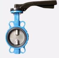 ASTM Butterfly Valve