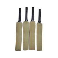 cricket bat