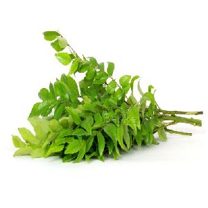 curry leaves