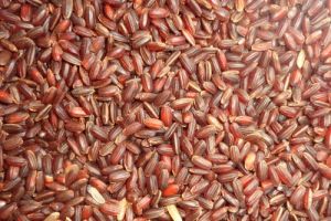 KATTU YANAM RICE