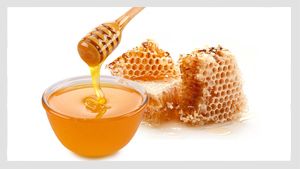 Girijan Honey