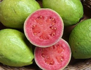 Pink Guava Pulp / Puree