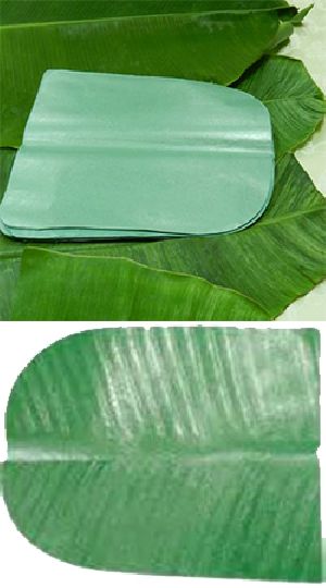 Paper Banana Leaf Latest Price from Manufacturers, Suppliers & Traders