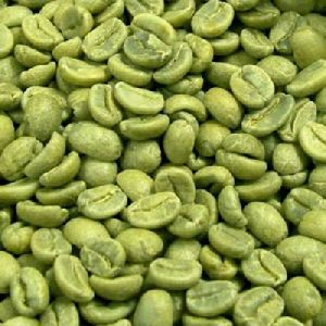 green coffee beans