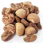 betel nuts