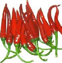 Red Chilly-01