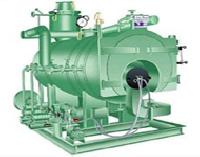 Steam Boilers (non Ibr)