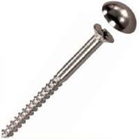 Mirror Screws