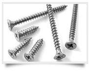 Duplex Steel Screws