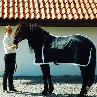 Horse Black Rug