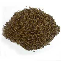 Cassia Tora Natural Seeds