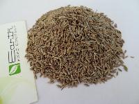 cumin seeds