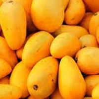 Fresh Mangoes