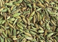 fennel seeds