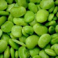 Green Lima Beans