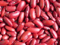 Organic Red rajma