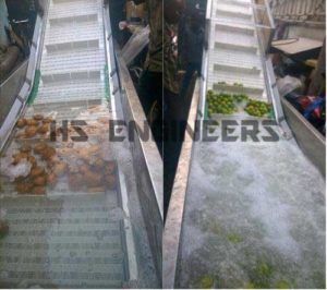 Vegetable Wash Conveyors