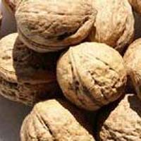 Unshelled Walnuts